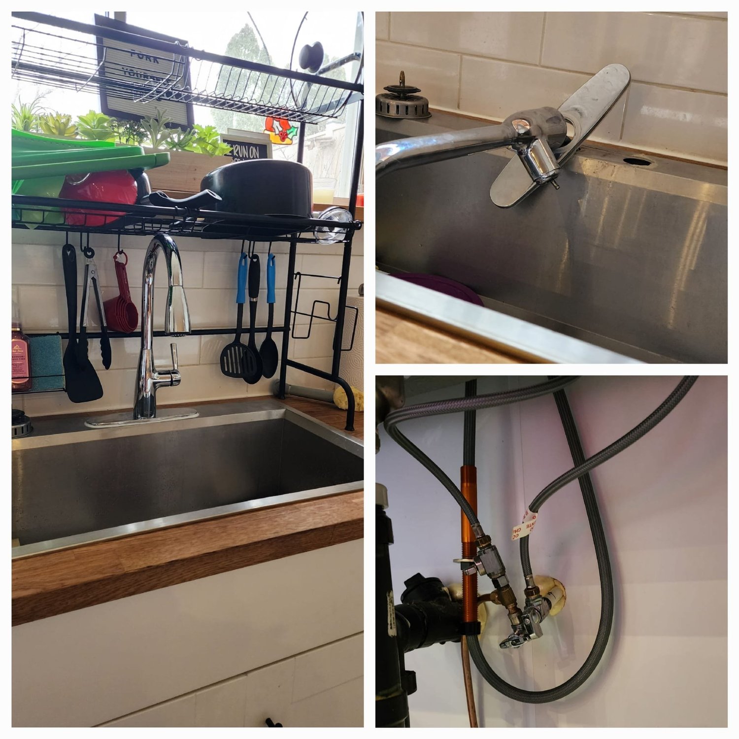 Ivy and vine removal from brick exterior