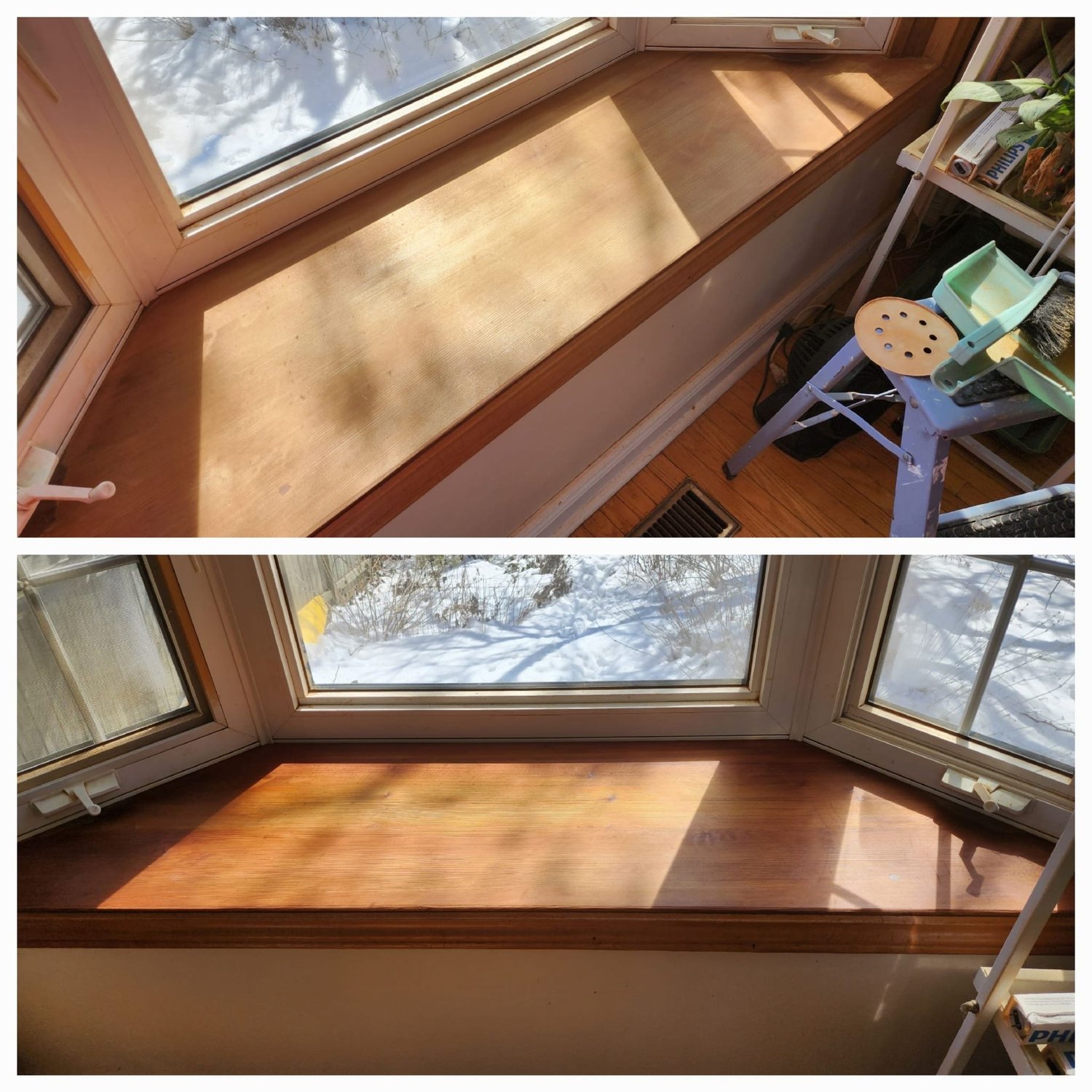 Overgrown backyard weed removal