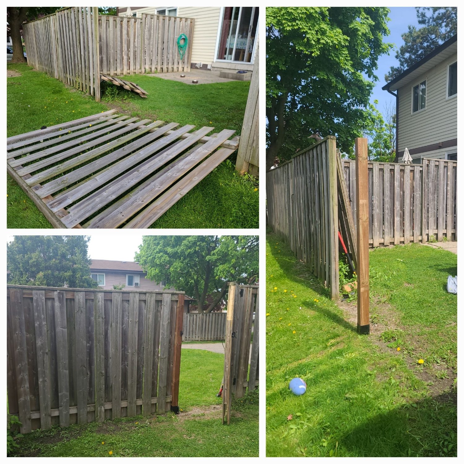 Hardwood floor repair and threshold replacement