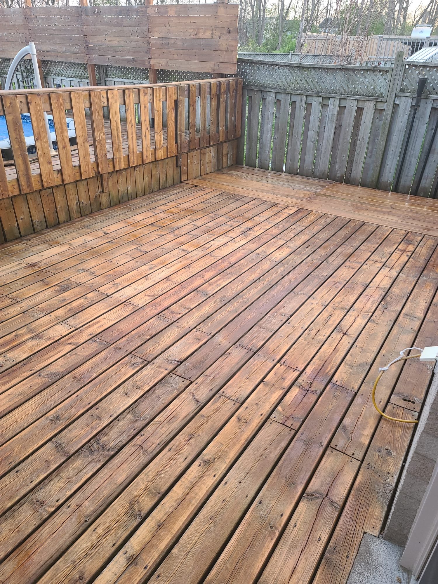 Backyard fence area cleanup and landscaping