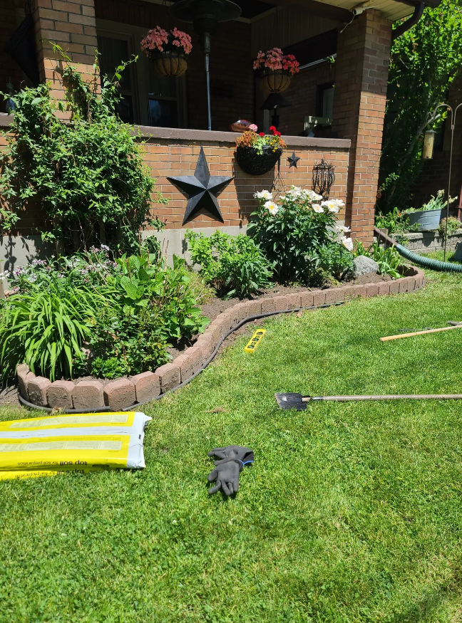 Professional home repair consultation